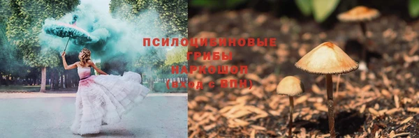 молекула духа Медвежьегорск