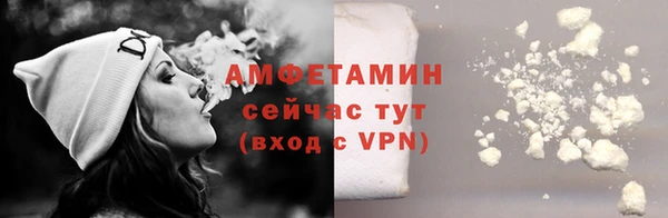 молекула духа Медвежьегорск