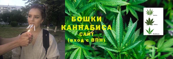 молекула духа Медвежьегорск