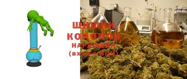 молекула духа Медвежьегорск