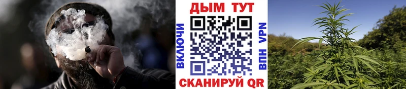 Бошки марихуана OG Kush  mega tor  Суоярви  купить наркоту 